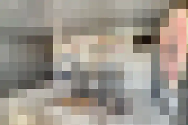 Vezelstraat 30 Oss thumbnail 30