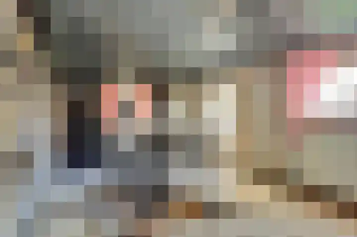 Vezelstraat 30 Oss thumbnail 31