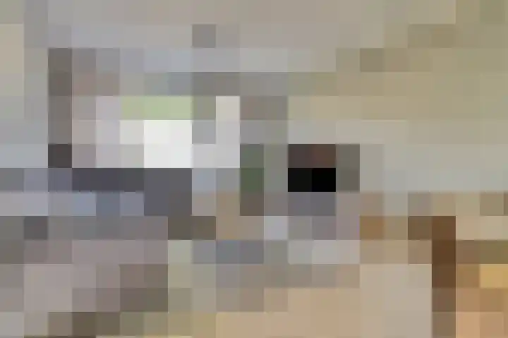 Vezelstraat 30 Oss thumbnail 8