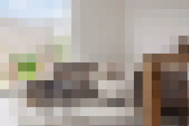 Vezelvlas 9 Asten thumbnail 12
