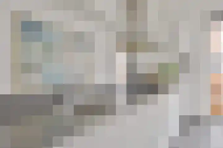 Vezelvlas 9 Asten thumbnail 16