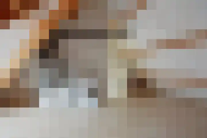 Vezelvlas 9 Asten thumbnail 29