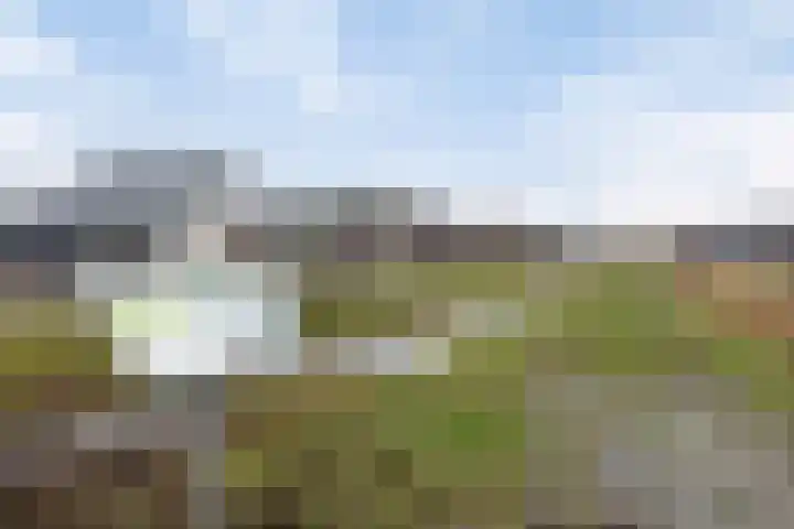 Vezelvlas 9 Asten thumbnail 35
