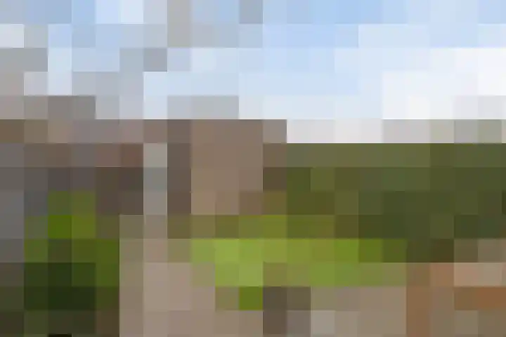 Vezelvlas 9 Asten thumbnail 5