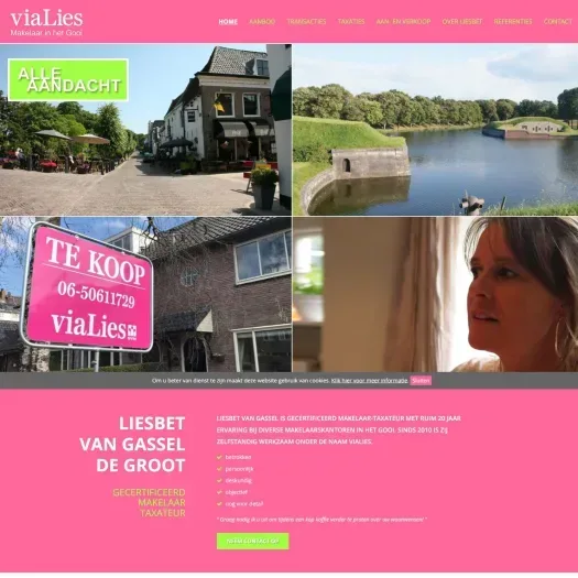 Screenshot van de website van www.vialies.nl