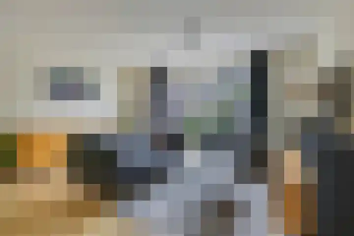 Vicarie 24 Heteren thumbnail 10