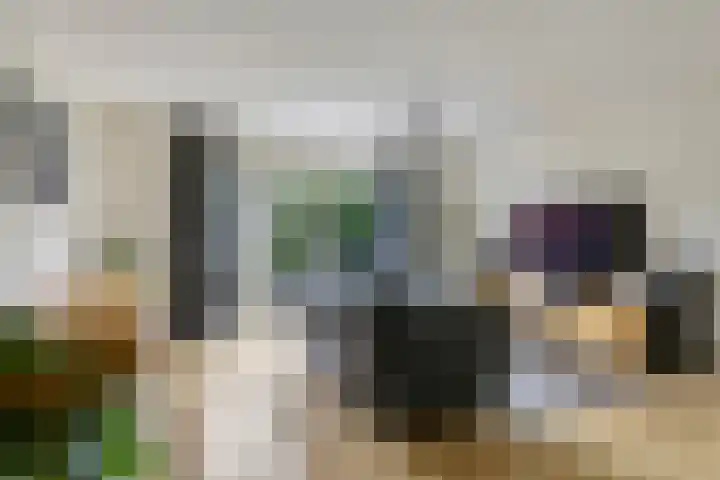 Vicarie 24 Heteren thumbnail 11