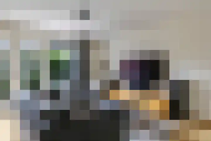 Vicarie 24 Heteren thumbnail 12