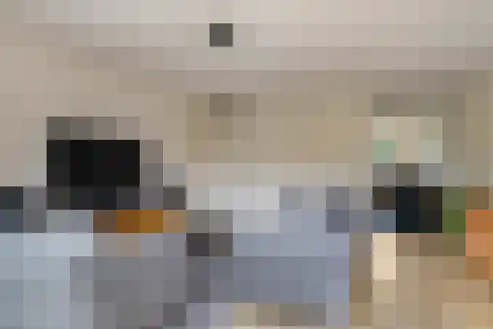 Vicarie 24 Heteren thumbnail 14