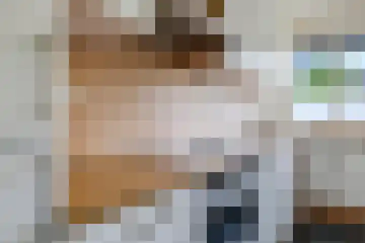 Vicarie 24 Heteren thumbnail 20