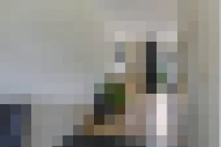Vicarie 24 Heteren thumbnail 23