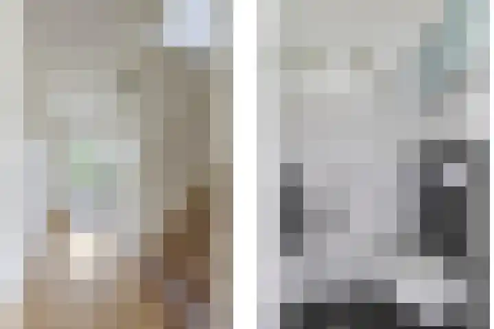Vicarie 24 Heteren thumbnail 24