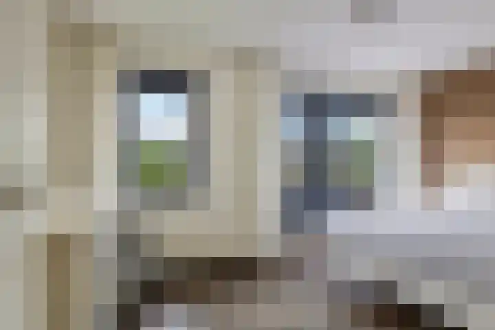 Vicarie 24 Heteren thumbnail 26