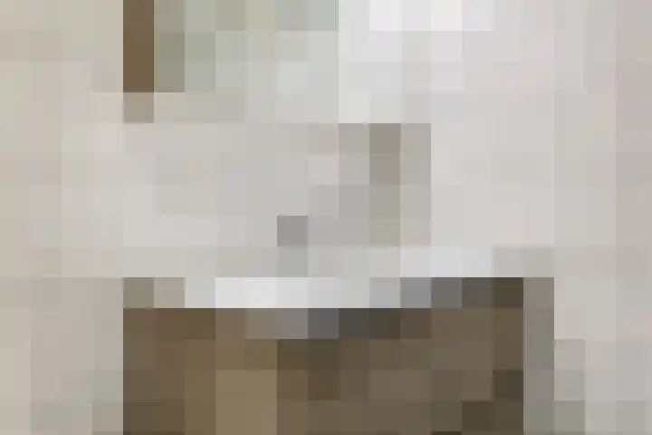 Vicarie 24 Heteren thumbnail 33
