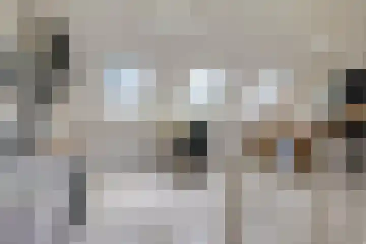 Vicarie 24 Heteren thumbnail 39