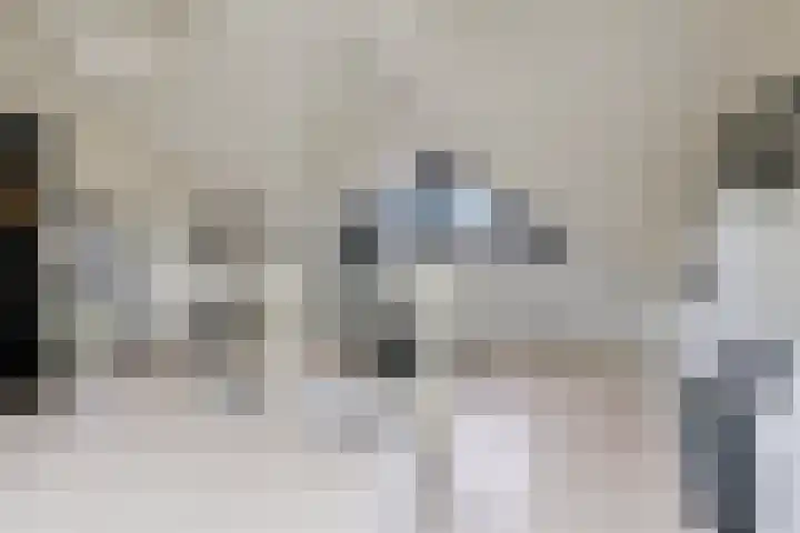 Vicarie 24 Heteren thumbnail 40