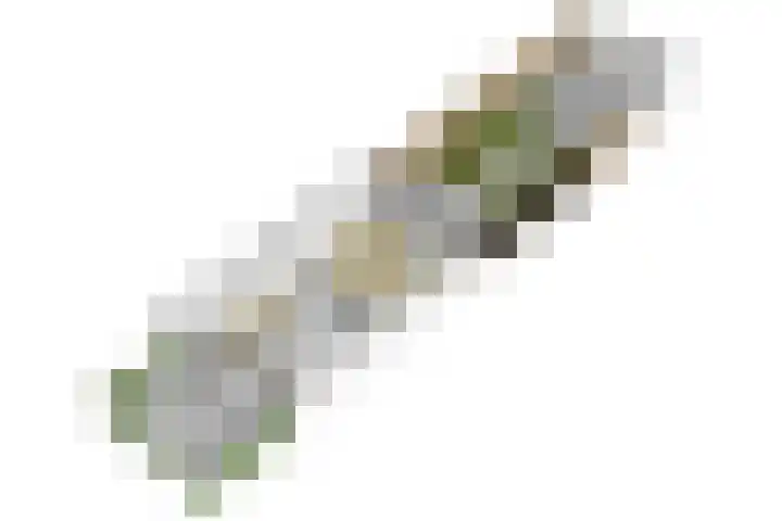 Vicarie 24 Heteren thumbnail 43