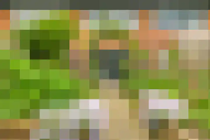 Vicarie 24 Heteren thumbnail 44