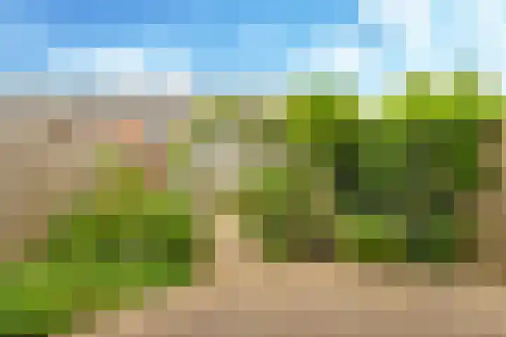 Vicarie 24 Heteren thumbnail 46