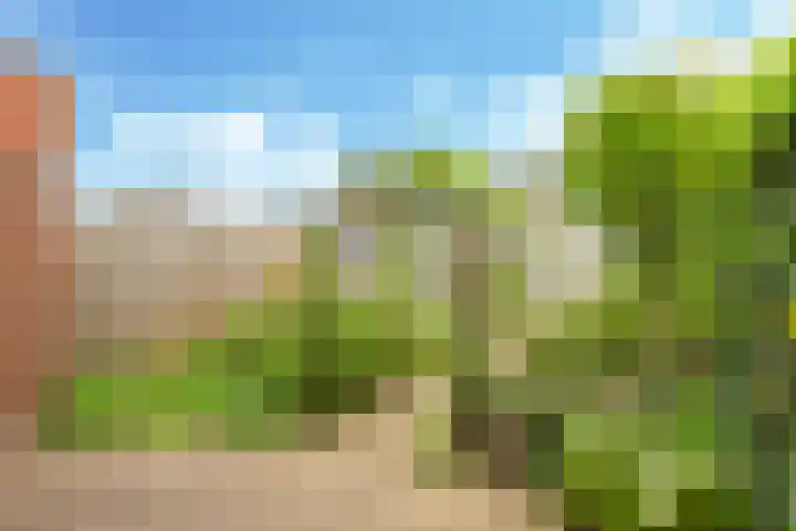 Vicarie 24 Heteren thumbnail 47