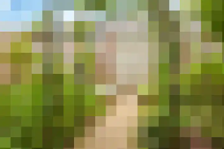 Vicarie 24 Heteren thumbnail 48
