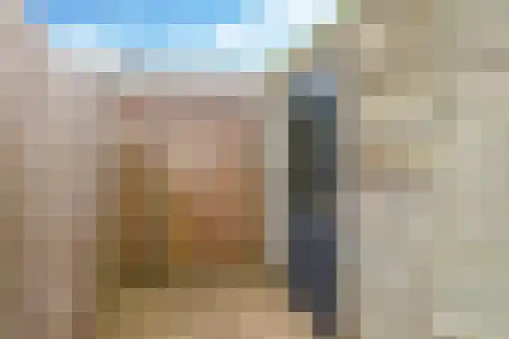 Vicarie 24 Heteren thumbnail 50