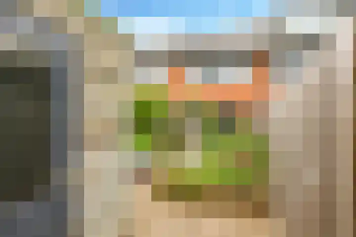 Vicarie 24 Heteren thumbnail 51