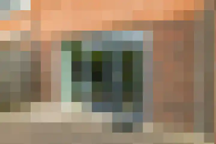 Vicarie 24 Heteren thumbnail 53