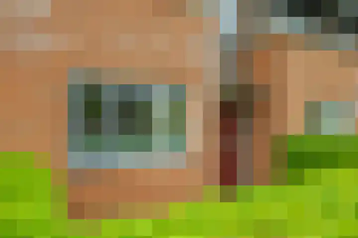 Vicarie 24 Heteren thumbnail 54
