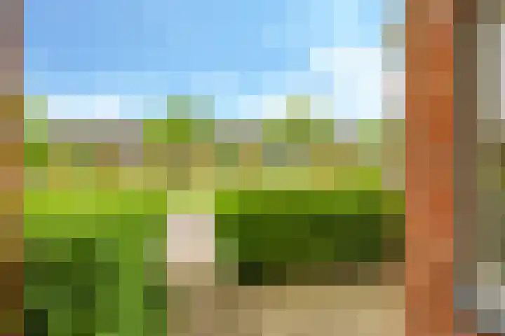 Vicarie 24 Heteren thumbnail 55