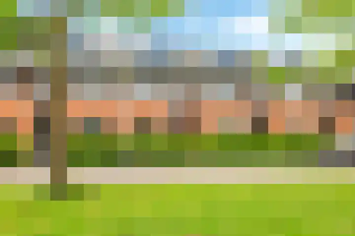 Vicarie 24 Heteren thumbnail 58