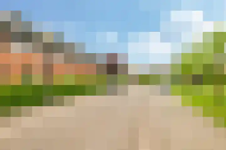 Vicarie 24 Heteren thumbnail 59