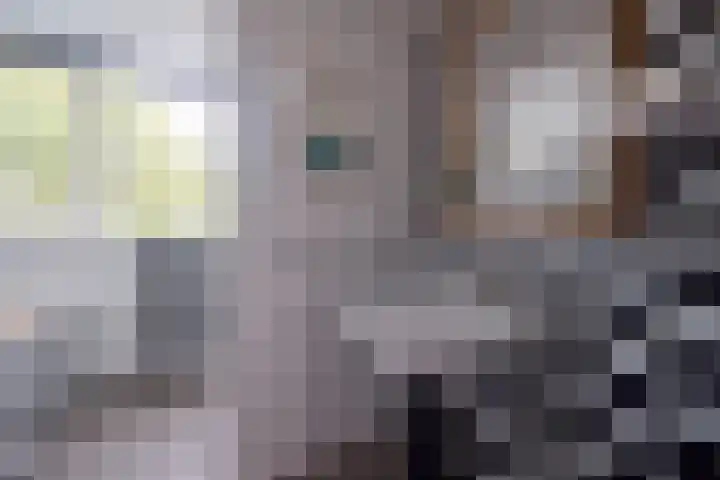 Vicarie 74 Heteren thumbnail 10