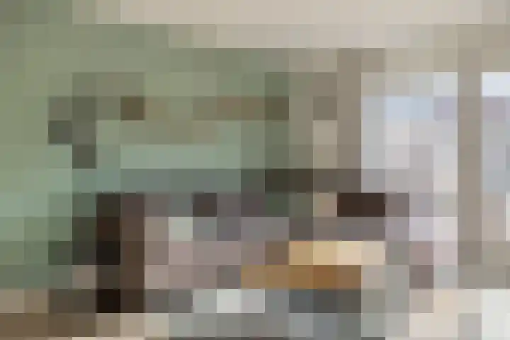Vicarie 74 Heteren thumbnail 10