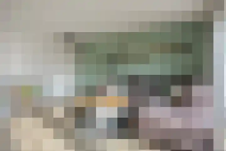 Vicarie 74 Heteren thumbnail 11