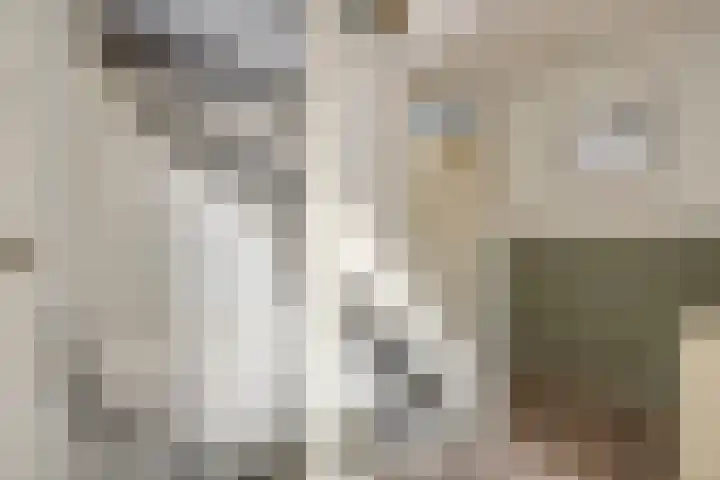 Vicarie 74 Heteren thumbnail 19