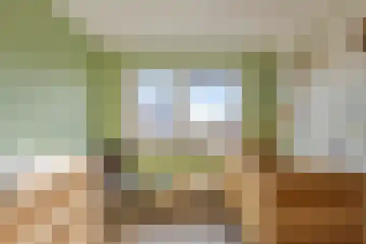 Vicarie 74 Heteren thumbnail 24