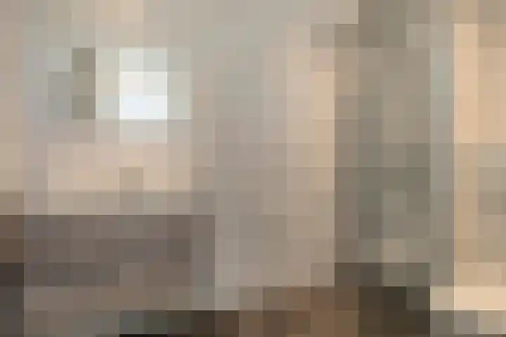 Vicarie 74 Heteren thumbnail 26