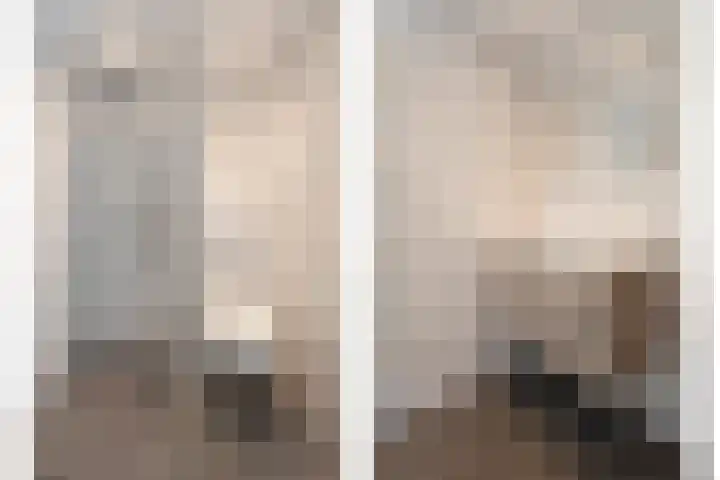 Vicarie 74 Heteren thumbnail 27