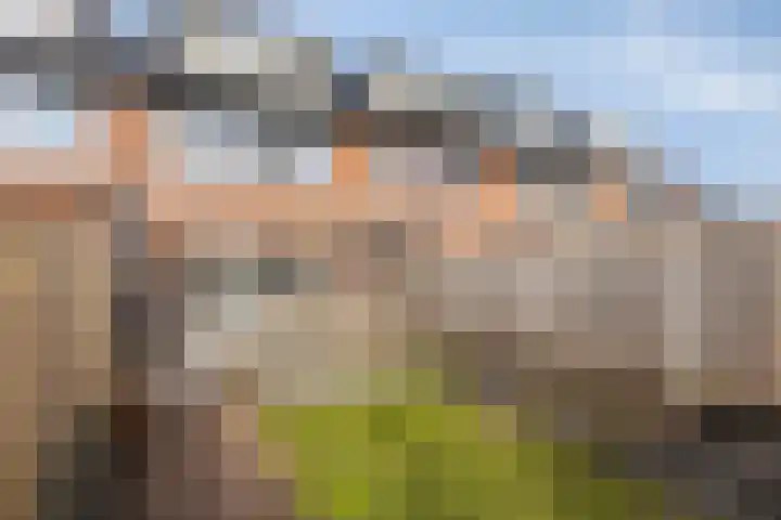 Vicarie 74 Heteren thumbnail 33
