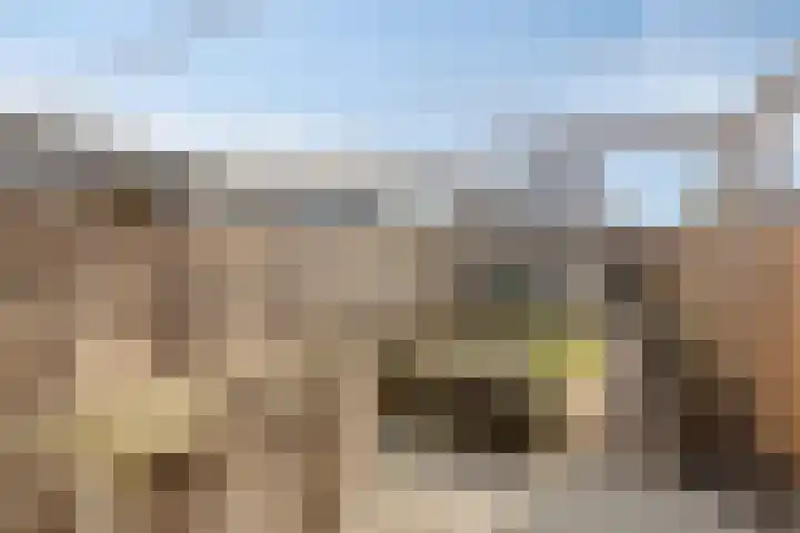 Vicarie 74 Heteren thumbnail 34