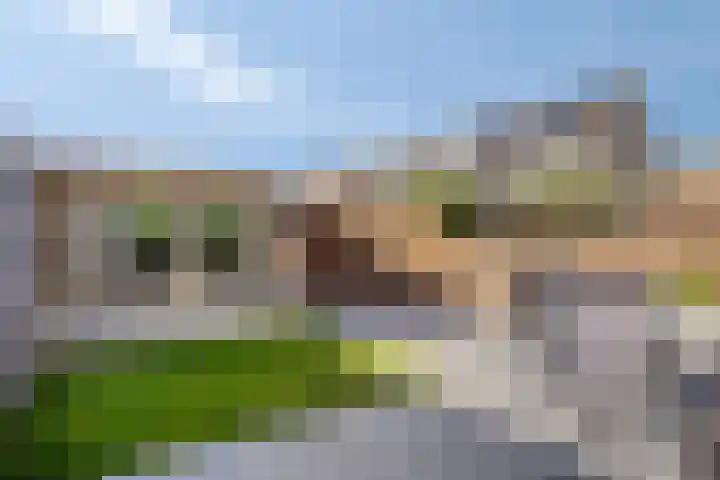 Vicarie 74 Heteren thumbnail 35