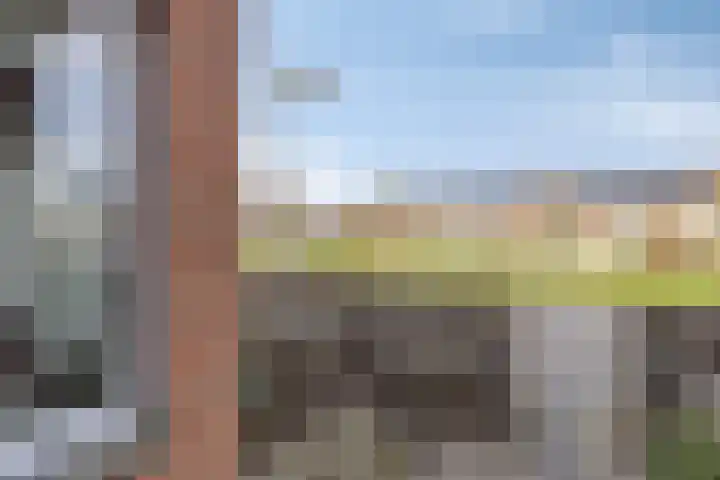 Vicarie 74 Heteren thumbnail 37