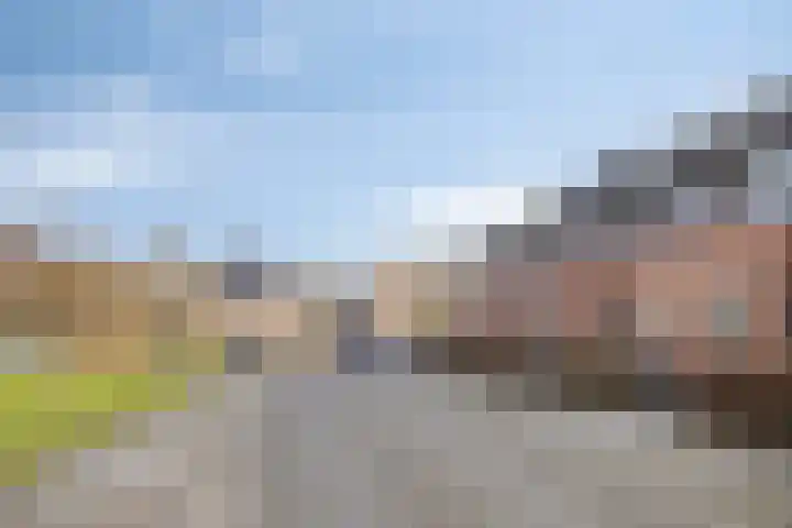Vicarie 74 Heteren thumbnail 39
