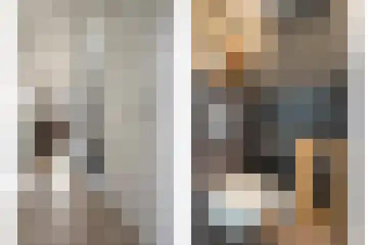 Vicarie 74 Heteren thumbnail 8
