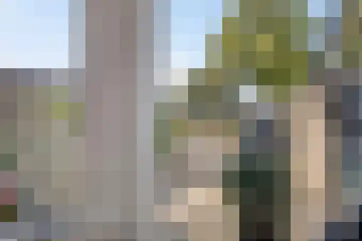 Vicarielaan 18 Heerde thumbnail 4