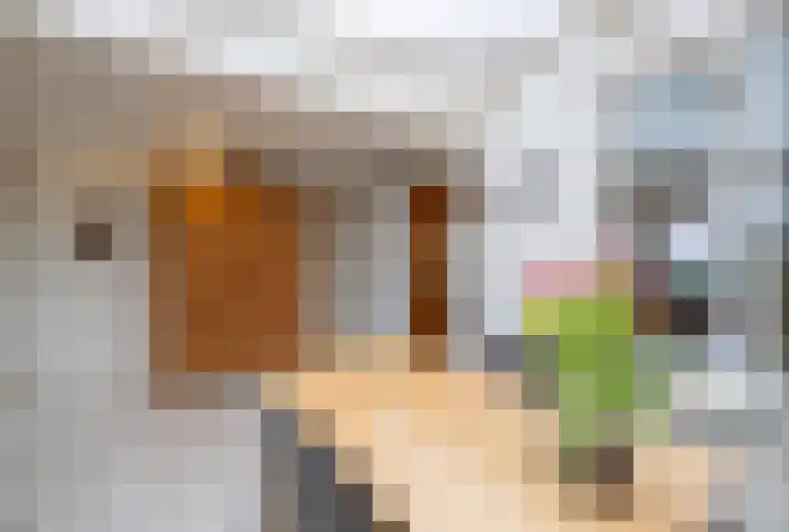 Vicarieweg 26 Leunen thumbnail 21