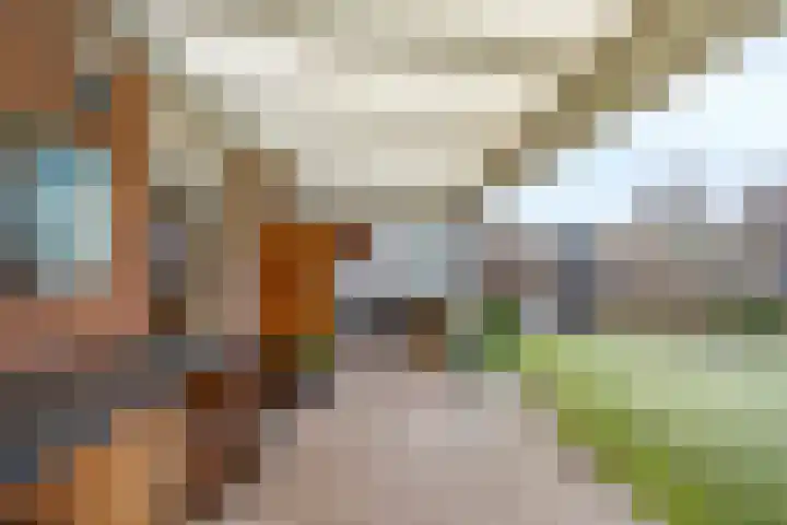 Vicarieweg 26 Leunen thumbnail 36