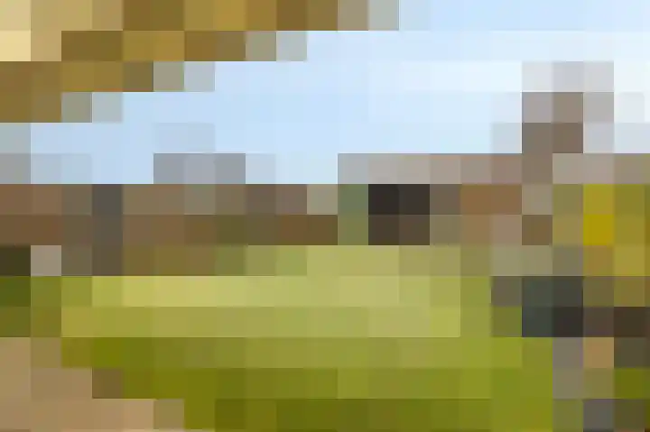 Vicarieweg 26 Leunen thumbnail 37