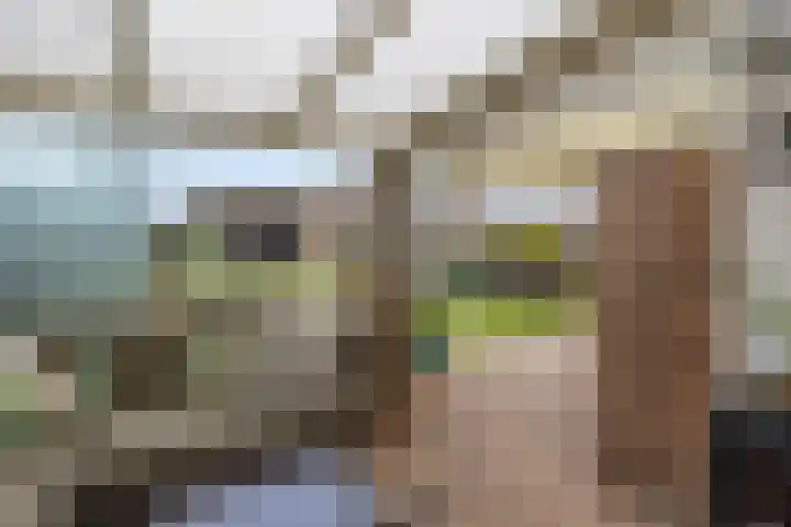 Vicarieweg 26 Leunen thumbnail 42